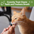 Whimzees Wellness Cat Dental Treats, Freshens Breath, Chicken and Salmon Flavor, 4.5 oz Bag (Pack of 2)