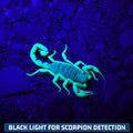 LUMENSHOOTER S3U Rechargeable UV Flashlight Blacklight