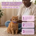 Calming Collar for Cats, 4 Packs Adjustable Calming Cat Collar with Pheromone Scent, with Yellow Gold Pendants, 120 Days Calm Relief for Anxious Cats, 15 Inch, Purple
