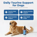 Taurine Supplement for Dogs Drops, Daily Amino Acid Liquid Drops for Heart Function, Muscle Support, Energy Balance & Physical Stability, 60 ml