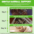 Hairball Remedy for Cats, Cat Hairball Treatment, Hair Ball Relief Digestive Aid, Promotes Healthy Digestion, Natural Pa