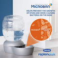 Petmate Mason Inspired Replendish Gravity Waterer, Water Dispenser for Dogs and Cats, 1 Gallon Silver, Made in USA