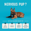 VetIQ Advanced Calming Support Supplement for Dogs, Dog Calming Chews - Anxiety Relief Treats Stress and Promote Relaxation, Made in the USA, 60 Count