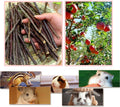 250g Apple Sticks Small Animals Molar Wood Treats Toys for Rabbits Chinchillas Guinea Pig Hamster Gerbil Parrot Bunny an