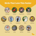 Birds Choice Pole Mount Seed Catcher Platform Feeder | Medium, Taupe