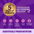 Wellness Complete Health Pate Variety Pack Kitten Canned Wet Cat Food, Natural, Protein Rich, Grain Free, Whitefish and 