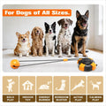 Interactive Tug-of-War Dog Toy for Medium & Large Aggressive Chewers