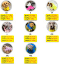 Waterproof Dog Raincoat, Adjustable Reflective Lightweight Pet Rain Clothes with Poncho Hood (Medium, Yellow)