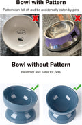 ABRUTY Cat Water Bowl, 16 OZ Ceramic Elevated Cat Bowls, 15° Tilted and Raised Pet Food Dish, Anti Vomiting Protect Pets