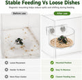 Jumping Spider Feeding Dish Set, Magnetic Acrylic Water Food Bowl with Feeding Tweezers, Jumping Spider Enclosure Access