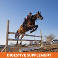 Plus Gastric Support Supplement for Horses with Omega 3s | Relieves Ulcers, Calming Supplement, Magnesium & Other Vital 