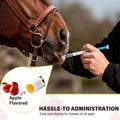 12 Pack Equine Paste 1.87% – (6.08g Each) Apple Flavored Oral for Horse