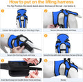 LIANZIMAU Dog Sling for Large Dogs Adjustable Hind Leg Support Lift Harness Senior Canine Mobility Aid Carrier for Back 