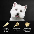 Cesar Simply Crafted Dog Food Topper, Chicken Pack, 1.3 oz, 8 Count, 2-Pack