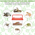 LemonRoad 25 Pcs Plastic Reptile Terrariums,Classic,5.1x3.5x3.5 Inch