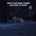 NOVKIN LED Dog Collar, Cut-to-Fit Light Up Dog Collar for Night Walking, IP67 Waterproof USB Rechargeable Glowing Pet Co