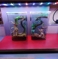 YZHZOM 8pcs Natural Small Spiderwood Driftwood for Aquarium Decor Aquarium Driftwood Freshwater Reptile Driftwood Aquari