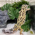 Fake Reptile Plants for Terrarium,Habitat Decor,Artificial Plant