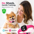 No Bark Collar with Silicone Strap, No-harm Dog Bark Collar, Bark Collar for Small Medium Large Dogs, Fashionable and Li