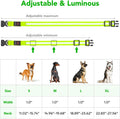 VIZPET LED Dog Collar, Light up Dog Collar Adjustable Safety Glow Collar,L