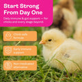 Chicken Probiotics & Vitamins – Immune Support and Stress Relief Supplement for Chicks and Adult Chickens – Digestive Health with Oregano & Garlic – Poultry Feed Additive – 1.5 lb