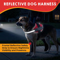Service Dog Vest, ID Tag and ADA Info Cards - Harness in X Small to XX Large, Durable Metal Tag, 2-Sided Service Animal Cards. ESA Accessory Set