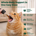 18-in-1 Liquid Multivitamin, Taurine & Lysine for Cats, Cat Liquid Vitamin, Senior & Picky Cats, Supports Immune, Skin & Coat, Energy & Overall Wellness, Chicken Flavor, 2 fl oz