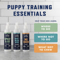 Rocco & Roxie Go Here Potty Training Attractant Spray for Dogs, 8oz