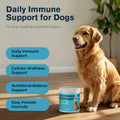 Lactoferrin Supplements for Dogs Powder, Daily Immune Nutrition with CoQ10 & Beta-Glucan, Essential Vitamins & Minerals for Whole-Body Wellness, Chicken Flavor, Easy-Mix Supplement, 2.12 oz