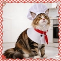 Cat Chef Costume for Medium Cat Pet Chef Hat Bow Tie Set Halloween Costume