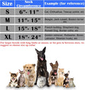 Inflatable Dog Collar, Soft Dog Cone for Dogs After Surgery, Adjustable Blow up Donut E-Collars for Small Medium Large D
