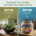 1 Gallon Clear Plastic Fish Bowl Set with 5 Artificial Plants and Stones