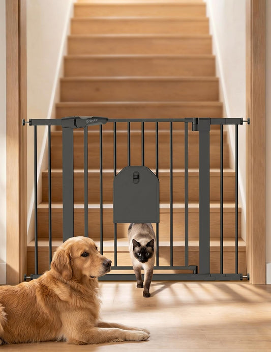 Babelio Auto Close Dog Gate with Cat Door, CatPrivilege I, 29-43"