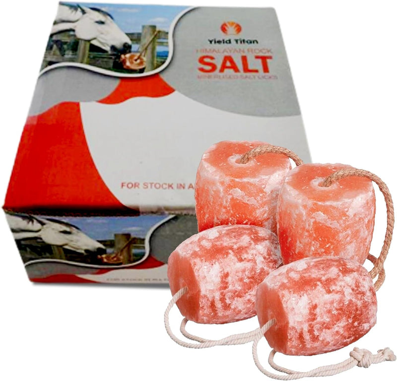 Himalayan Pink Salt 18 LBs, Salt Licks for Animals Licking Block for Horses, Cows, Deer, and Other Livestock - Rope Incl