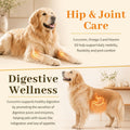 Turmeric Curcumin for Senior Dogs & Cats, Canine Joint & Mobility Support