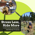 SynChill Horse Calming Supplement Gel, 3 Pack | Composure & Focus