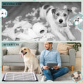Mifoci 2 Pcs Dog Pee Pad Holder Potty Tray Portable Dog Litter Box Toilet Training for Small Medium Large Pet Puppy Indo