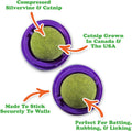 Meowijuana Stick 'n' Lick Catnip Balls, 2-Pack | Purrple Passion