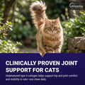 Vetoquinol Flexadin - Joint Support for Cats of Any Size - Healthy Hip & Mobility Support for Comfortable Movement - Tasty Daily Chew with Beef Flavor - 30 Count Bag