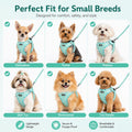AMTOR Small Dog Harness with Leash Set, No Escape Easy Walk Puppy Harnesses for Training Walking, Step-in Reflective Soft Dogs Vest for XS S Medium Extra-Small Large Sized Dog(Green,S)