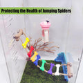 Jumping Spider Water Dispenser, Magnetic Hanging Feeder,Suitable for Jumping Spiders,Tarantulas, Praying Mantises,Arbore