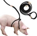 Mini Pig Harness & Leash, Adjustable 8 Feet Long Rope for Small to Medium Pet Pigs