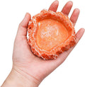 3 Pack Reptile Food Dish, Resin Hermit Crab Food & Water Bowl, Reptile Feeding Food Dish Kit, Tank or Aquarium Accessory