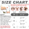 Soft and Breathable Dog Muzzle with Adjustable Straps for Small, Medium, and Large Dogs. Prevents Biting, Chewing, and Barking. Ideal for Grooming and Training. (Grey, XS Snout(3.9''-4.7''))