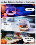 Pawfly 0.5 Gallon Mini Plastic Fish Bowl, Unbreakable Small Fishbowl Desktop Aquarium, Clear Round Plastic Fish Tank for