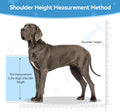 Dog Breeding Stand, Adjustable Stainless Steel Breeding Stand for Dogs（L）