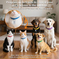 Smart Electronic Pet Door, Automatic Cat Dog Door with 3 Modes, Battery Powered Electronic Sensor Pet Door with 1 Sensin