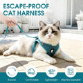 HEYWEAN Cat Harness and Leash - Ultra Light Escape Proof Kitten Collar Cat Walking Jacket with Running Cushioning Soft a