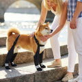 Suspender Boots for Small Dogs, Ultra-Lightweight Waterproof Anti-Slip Puppy Shoes, Adjustable Paw Protector with Reflec
