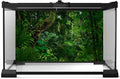 Tropical Rainforest Aquarium Background Psychedelic Forest Terrarium Background Old Trees Woodland Reptile Habitat Backg